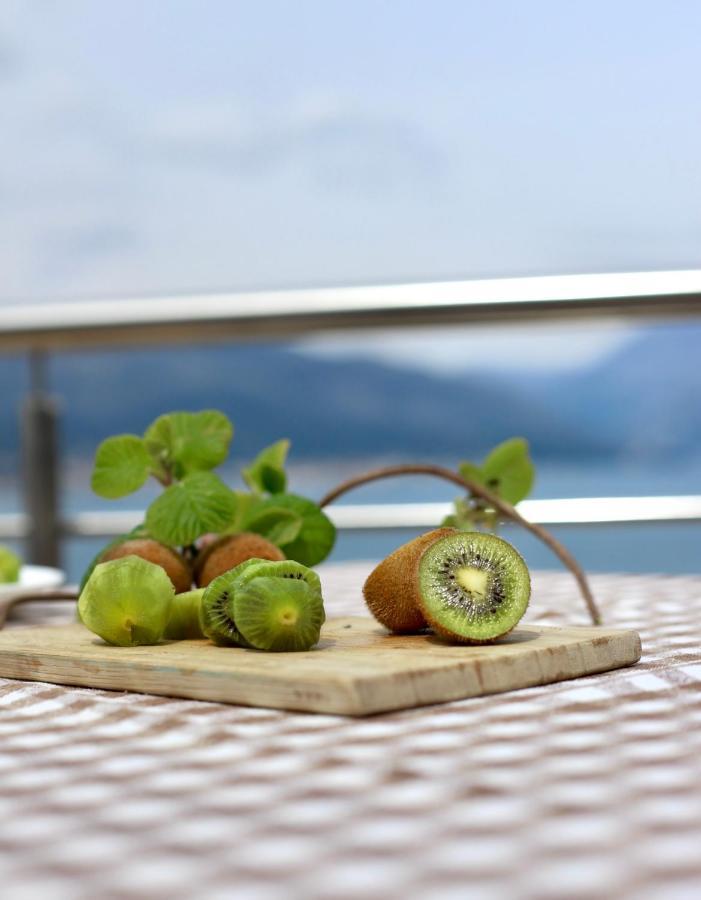 Apartment 365 Tivat Buitenkant foto