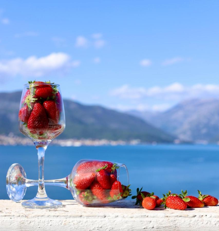 Apartment 365 Tivat Buitenkant foto